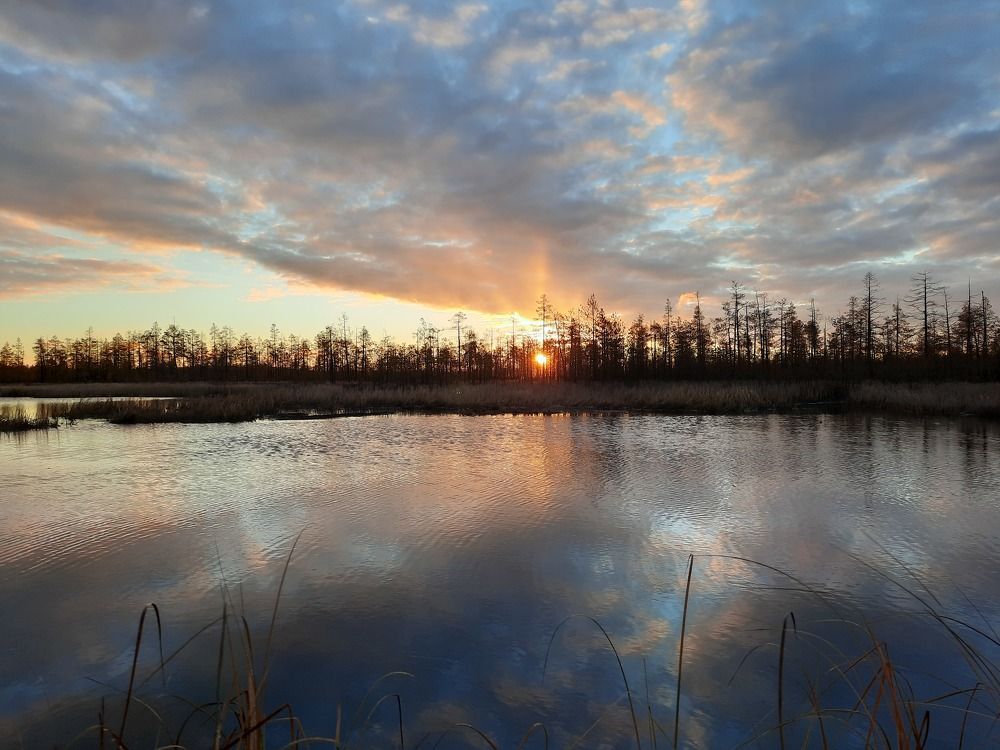 Photograph by Александр Клюев