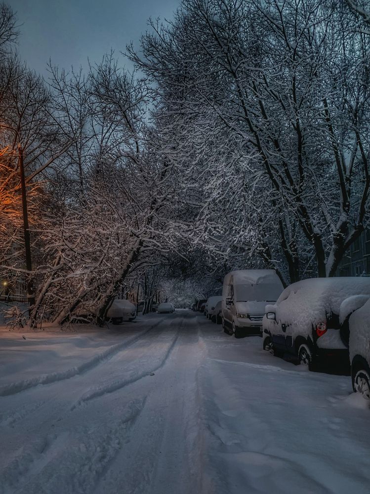 Photograph by Юлия Чиклеева