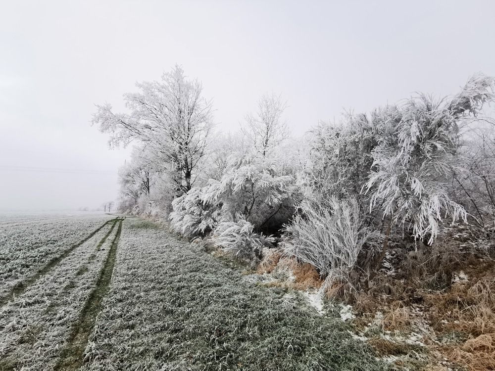 Photograph by Михаил Жарский