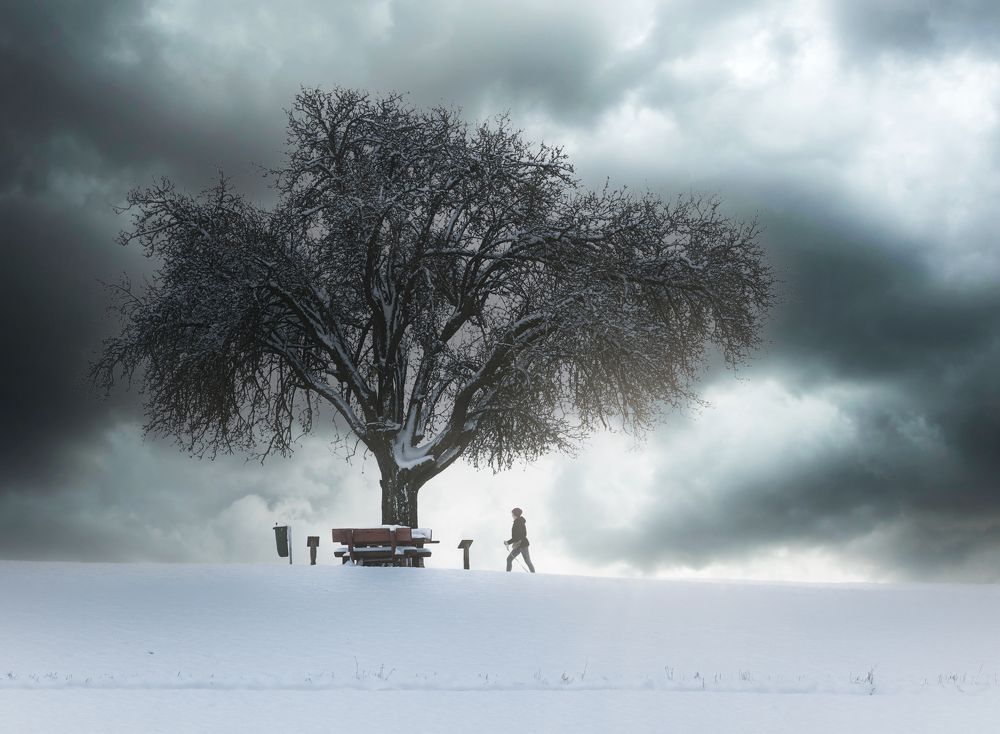 Photograph by Zavaydin Zavaydinov