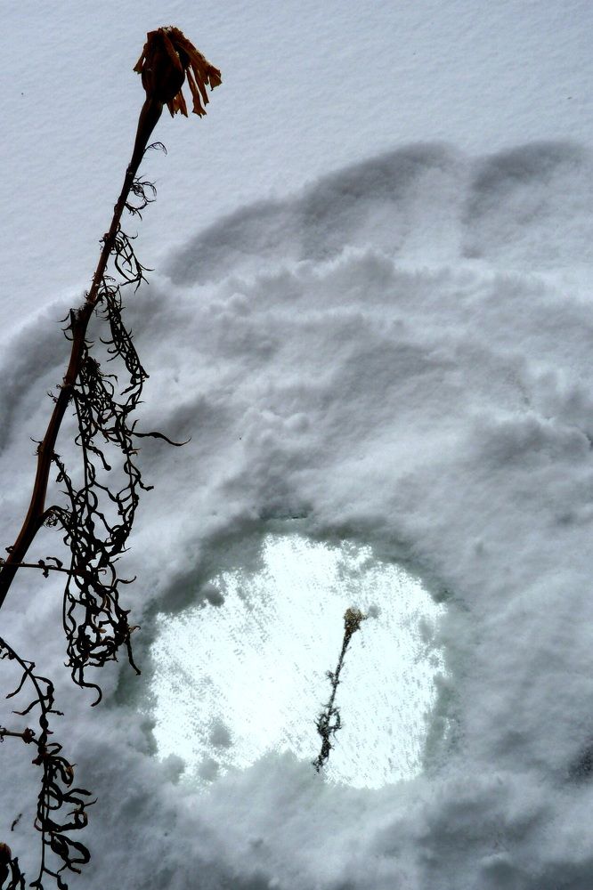 Photograph by Ирина Петракович