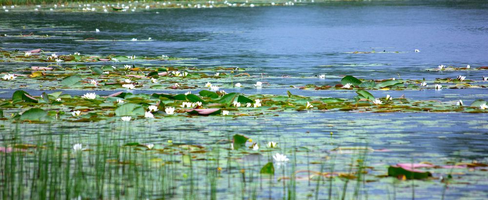 Photograph by Татьяна Казакова