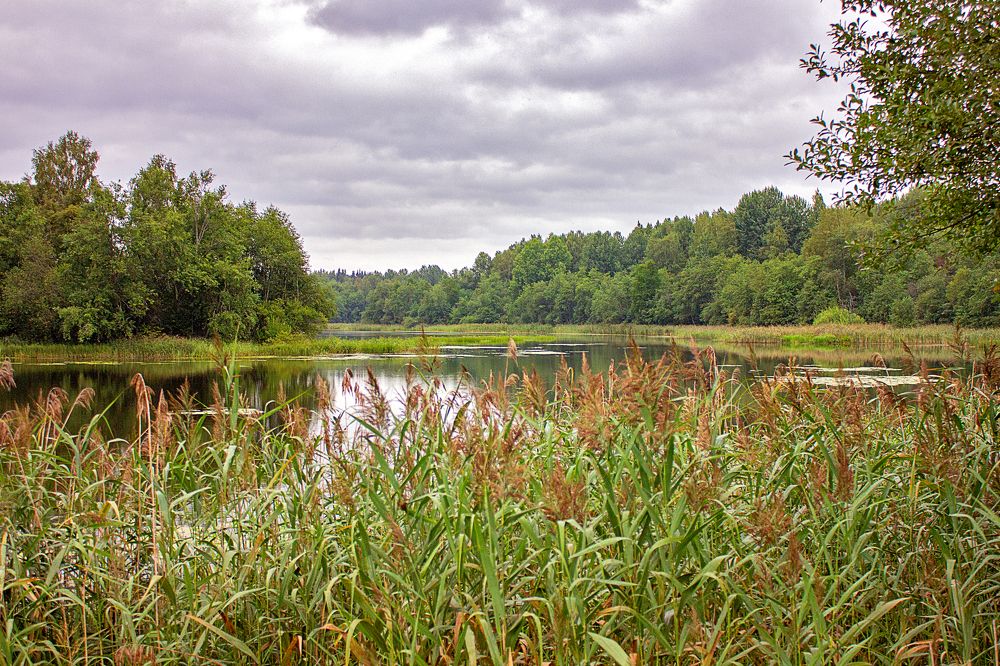 Photograph by Татьяна Казакова