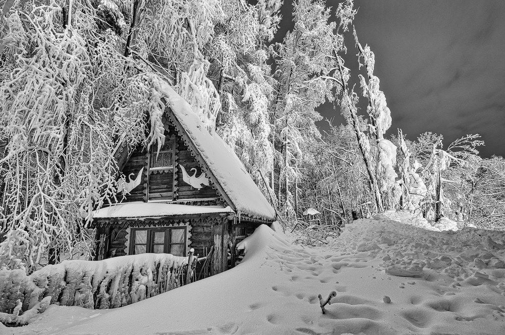 Photograph by Алексей Верзун