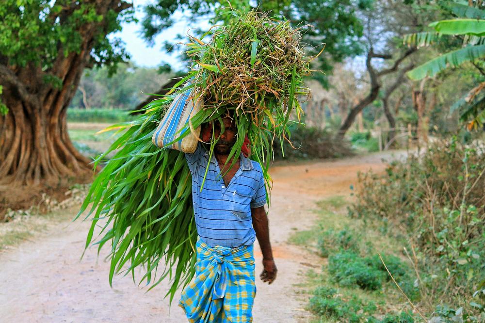 Photograph by DEBRAJ BISWAS