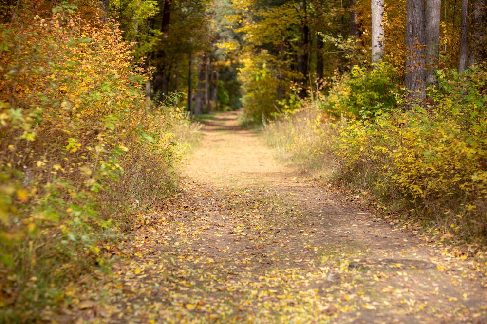 Photograph by Наталья Катюжанская