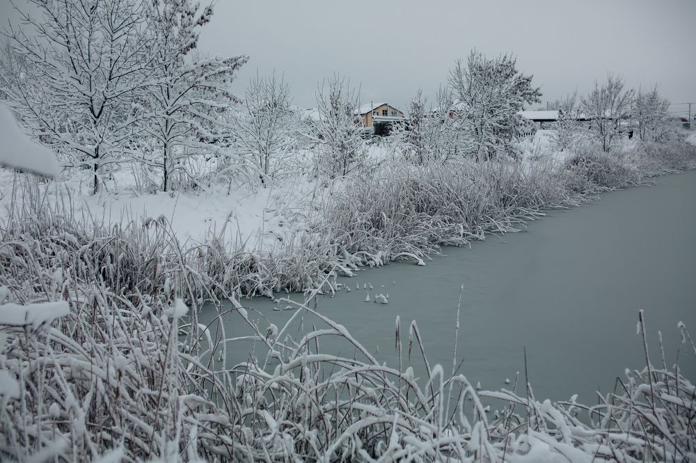 Photograph by Елена Суханкина