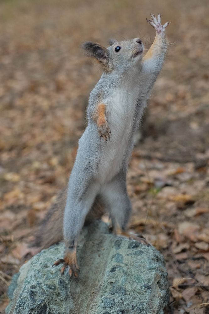 Photograph by Высотских Владимир
