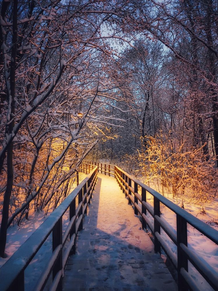 Photograph by Вячеслав Щёголев