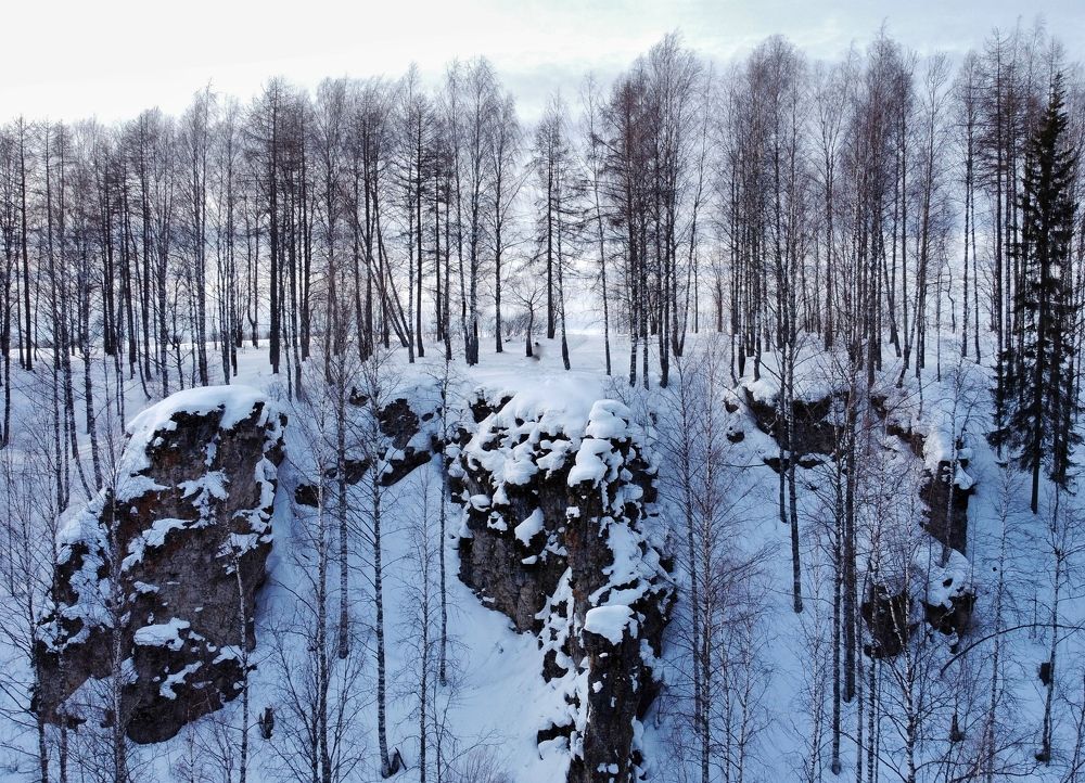 Photograph by Max_niksh