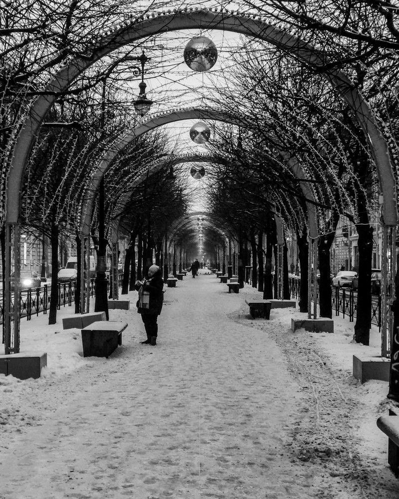 Photograph by Николай Сапожников