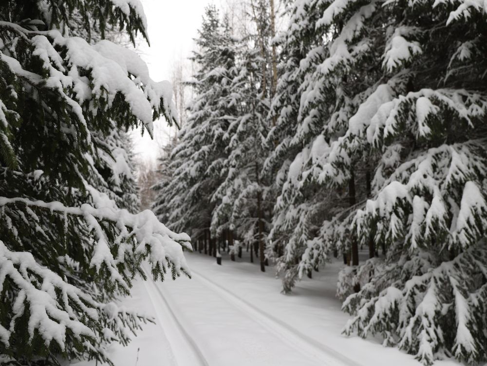 Photograph by Елена Тимченко