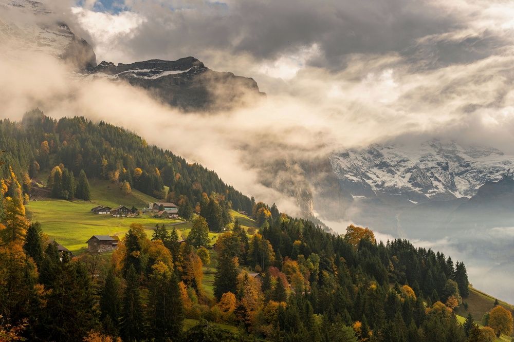 Photograph by Andrei Tomas