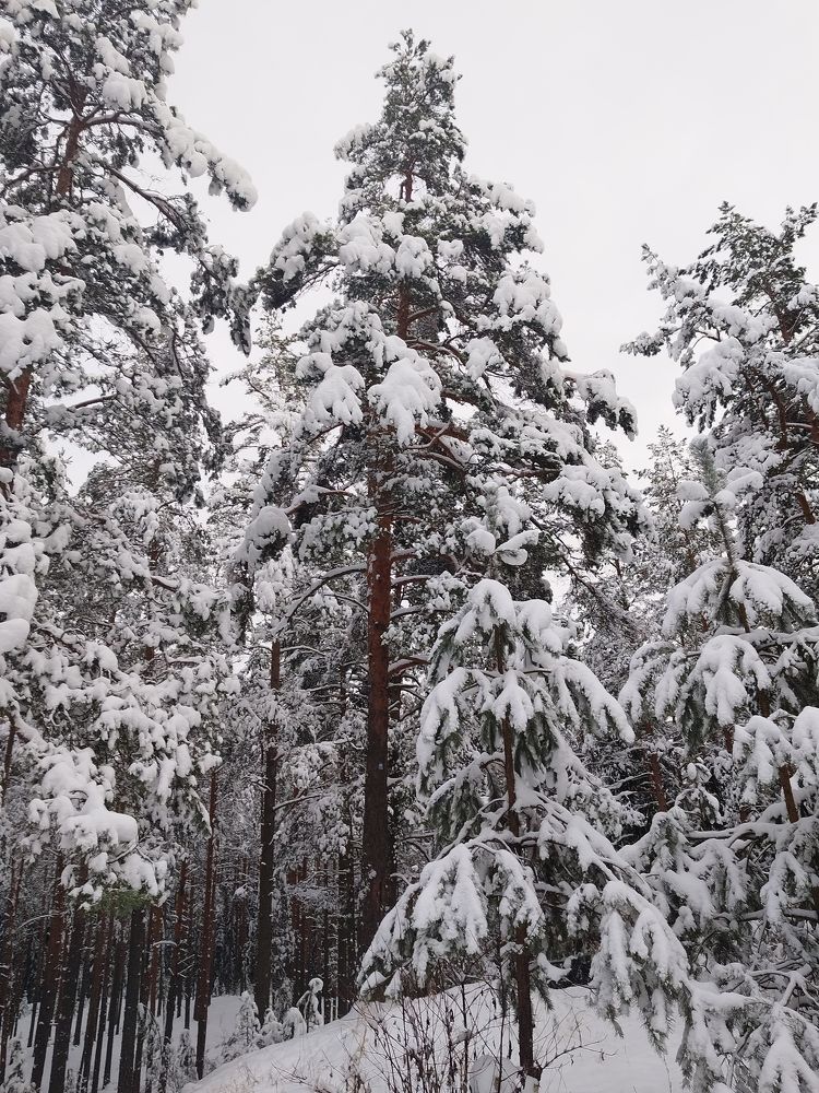 Photograph by Валерия Александровна