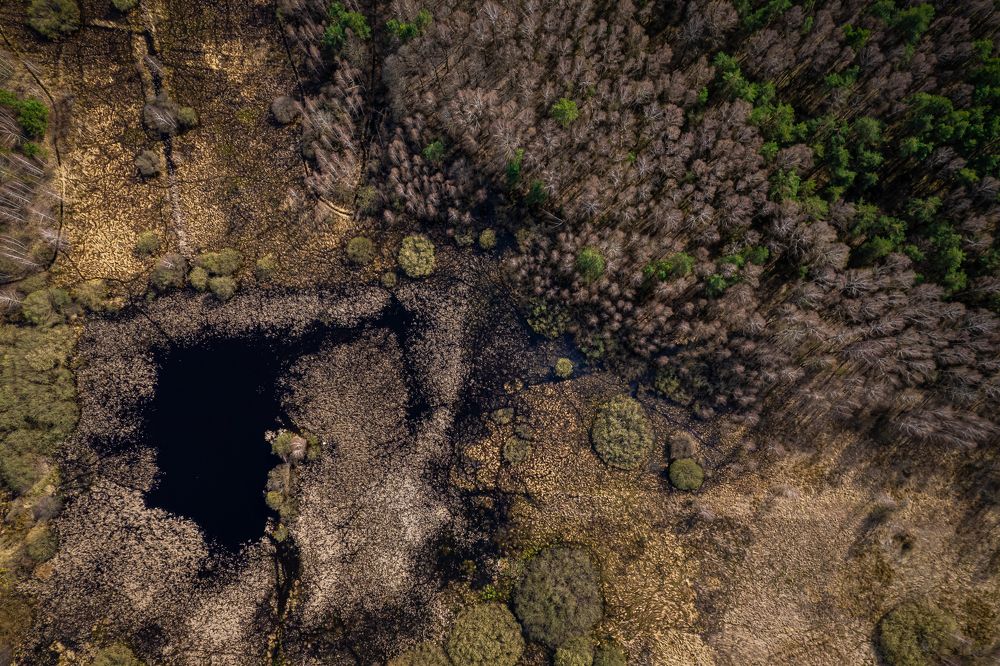 Photograph by Павел Купрэвіч