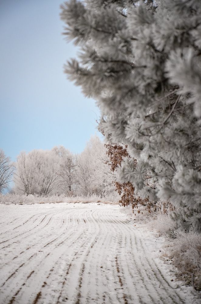Photograph by Денчук Наталья
