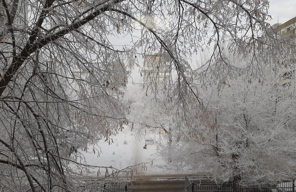 Photograph by Ольга Павлова