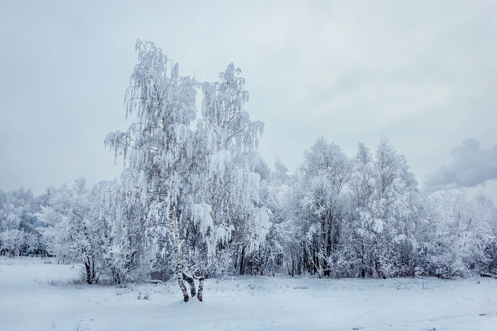 Photograph by Мария Фомичева