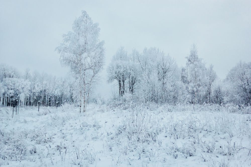 Photograph by Мария Фомичева