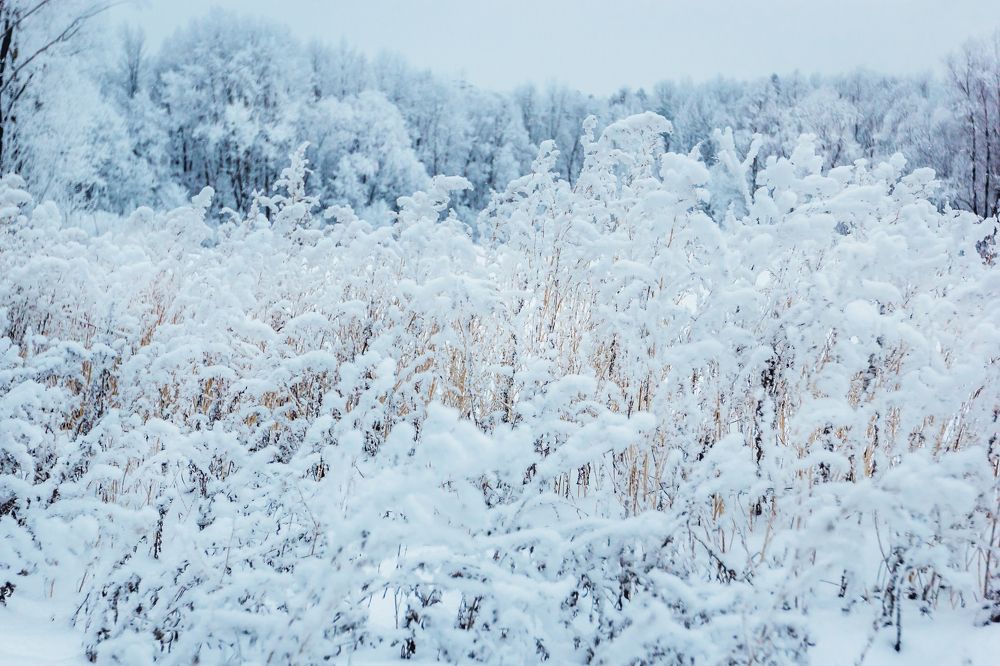 Photograph by Мария Фомичева