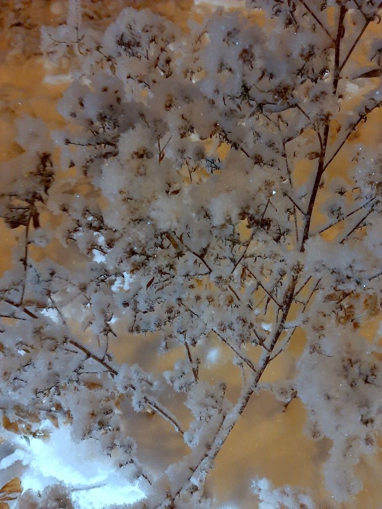 Photograph by Ольга Павлова