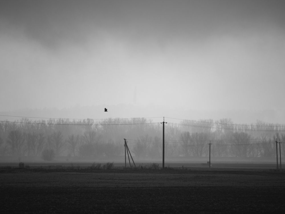 Photograph by Константин Цыкалюк