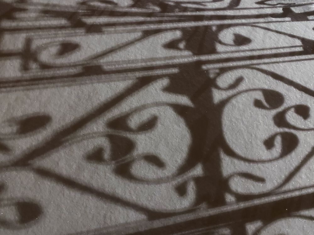 Photograph by Svetlana Karnauh Карнаух