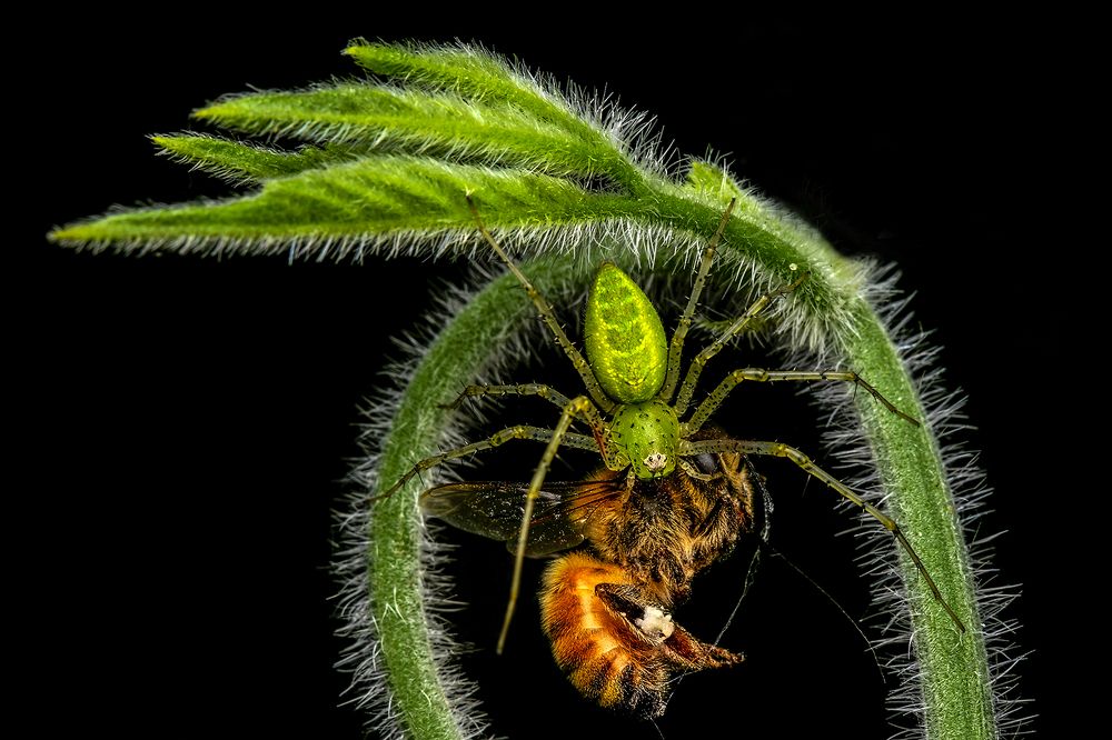 Photograph by ARUNAVA DEY