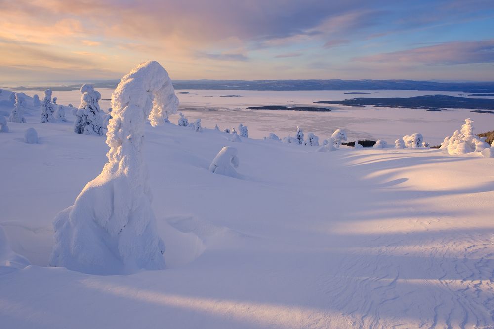 Photograph by Леонтьев Константин