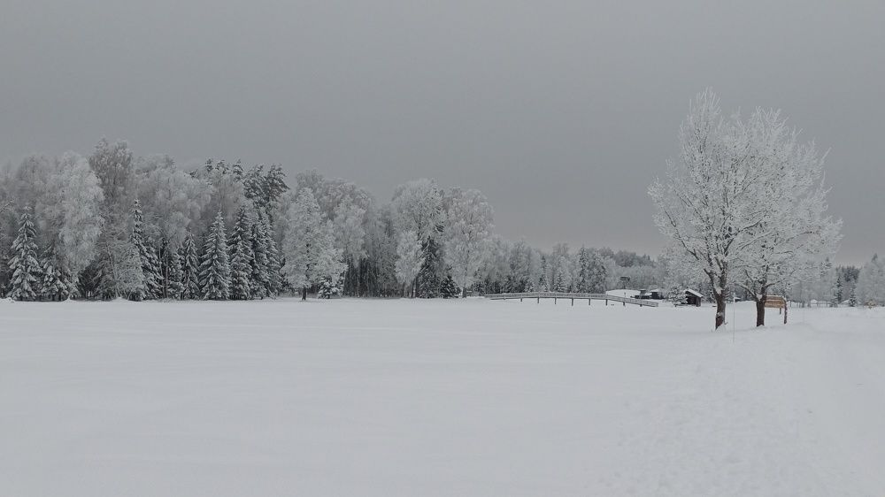 Зимние пейзажи.