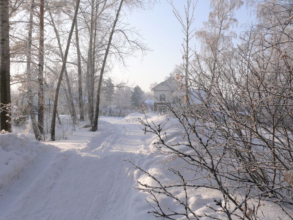 Под снежным покрывалом