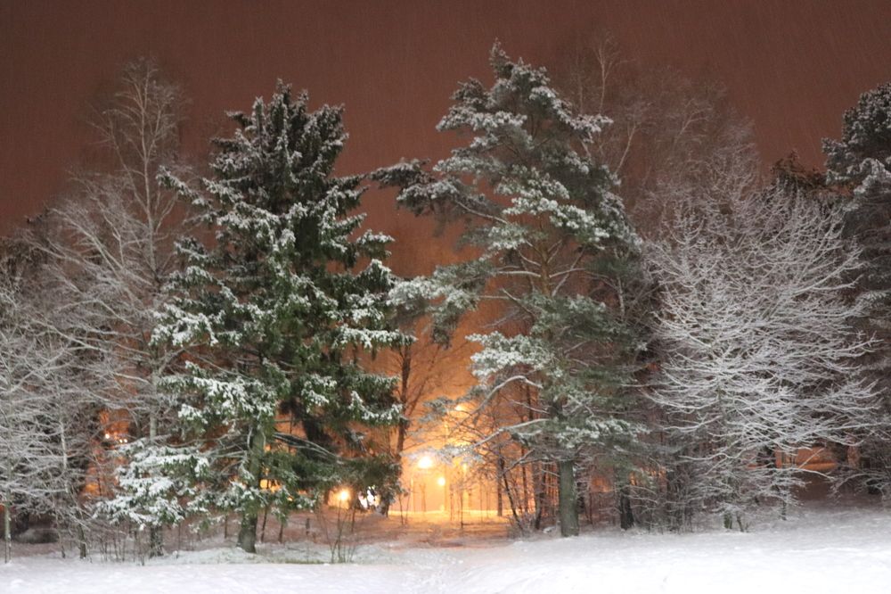 Photograph by Алексейчик Дмитрий