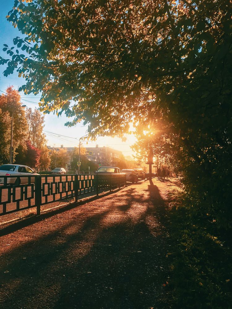 Photograph by Валерия Хрусталёва