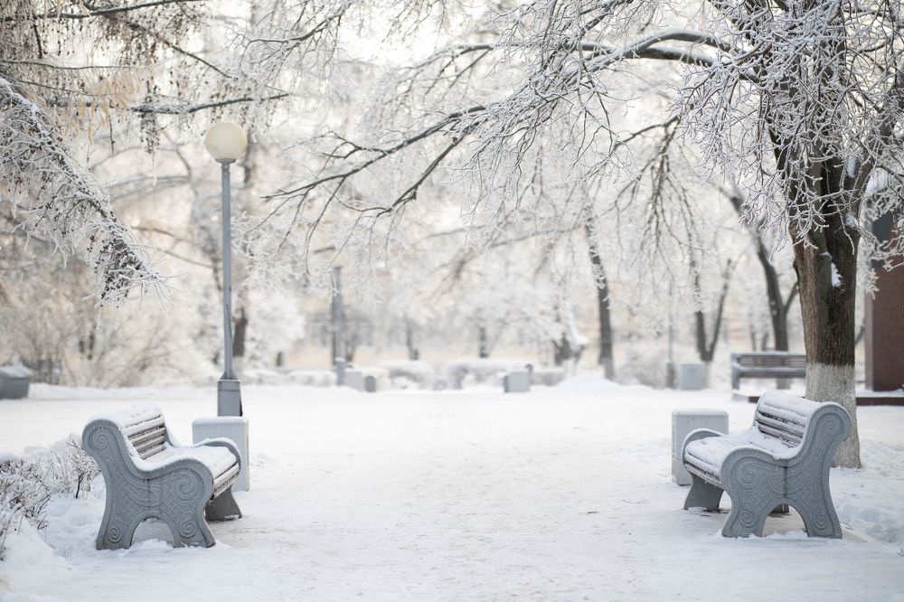 Photograph by Татьяна Царева