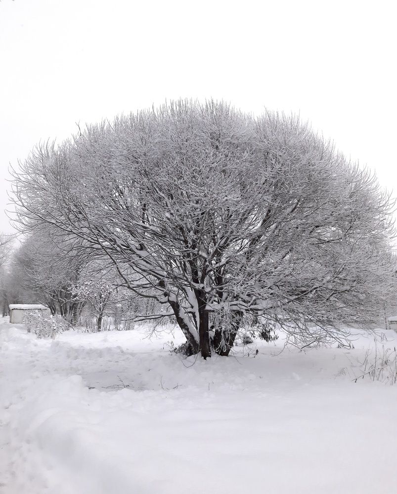 Фотография автора Ольга Кунакова