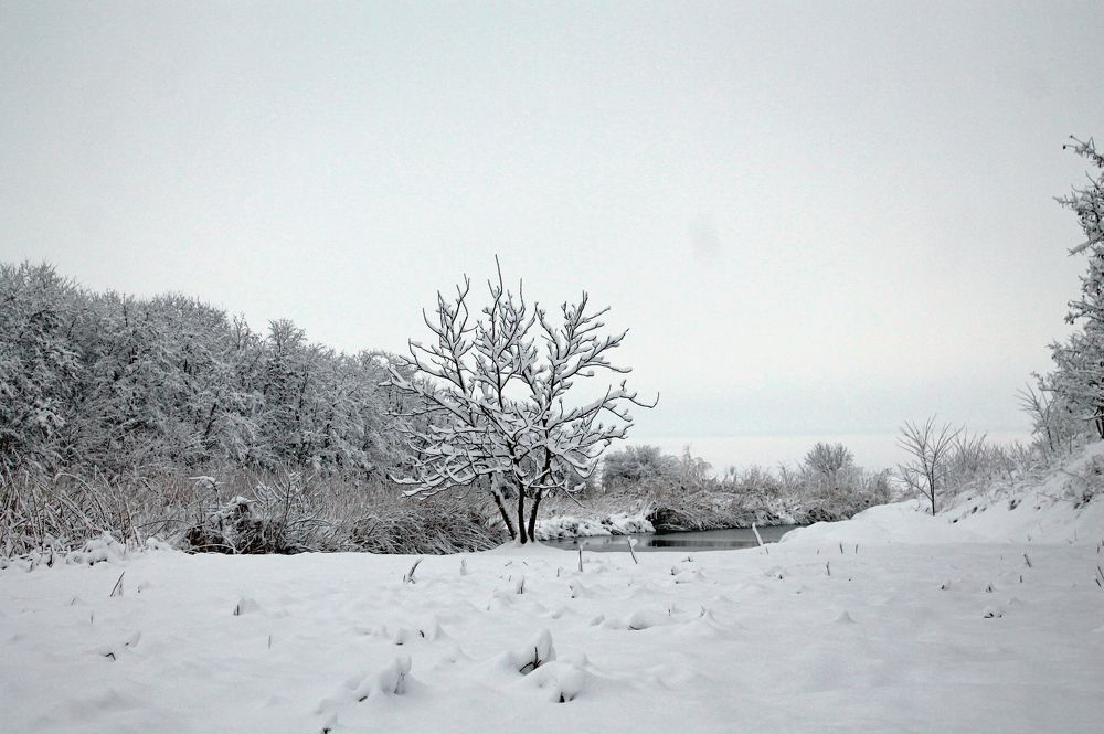 Photograph by Долгушева Татьяна