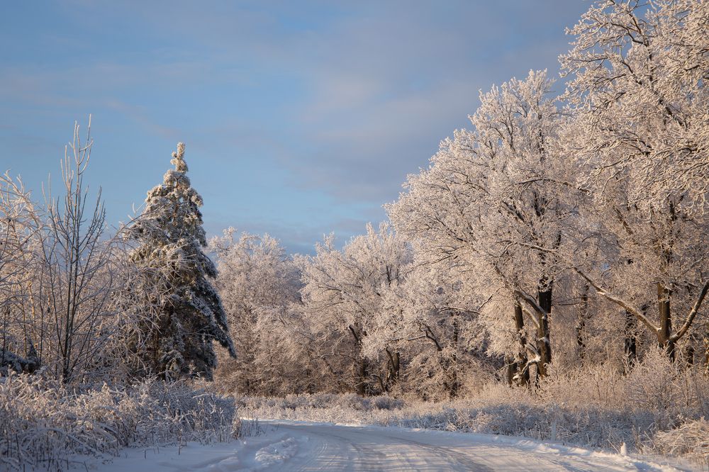 Photograph by Наталья Гранфельд