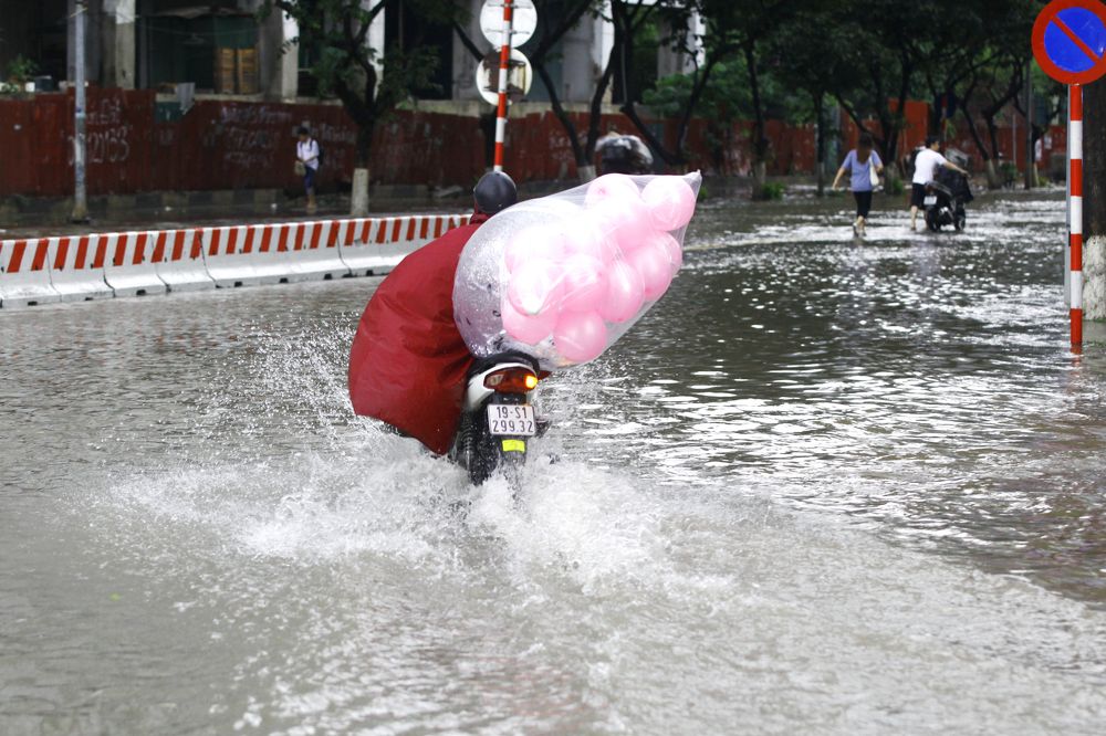 Photograph by Đỗ Đức