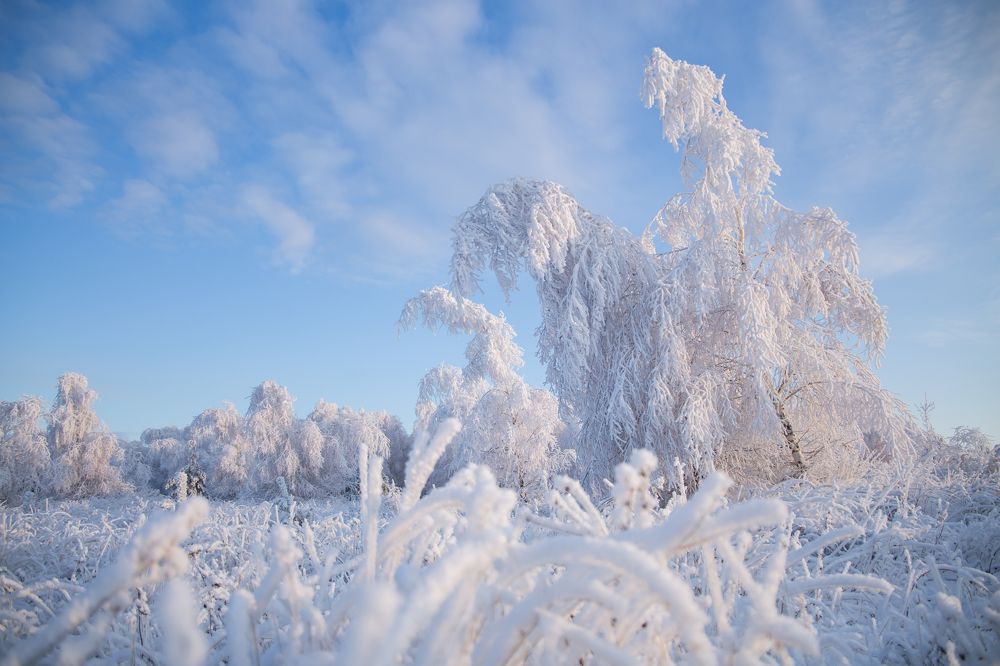 Photograph by Наталья Гранфельд