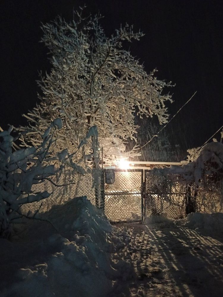 Фотография автора Таня Долгушева