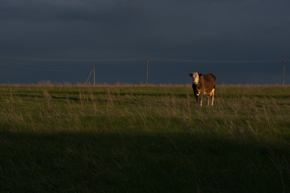 Photograph by Наталия Брянцева