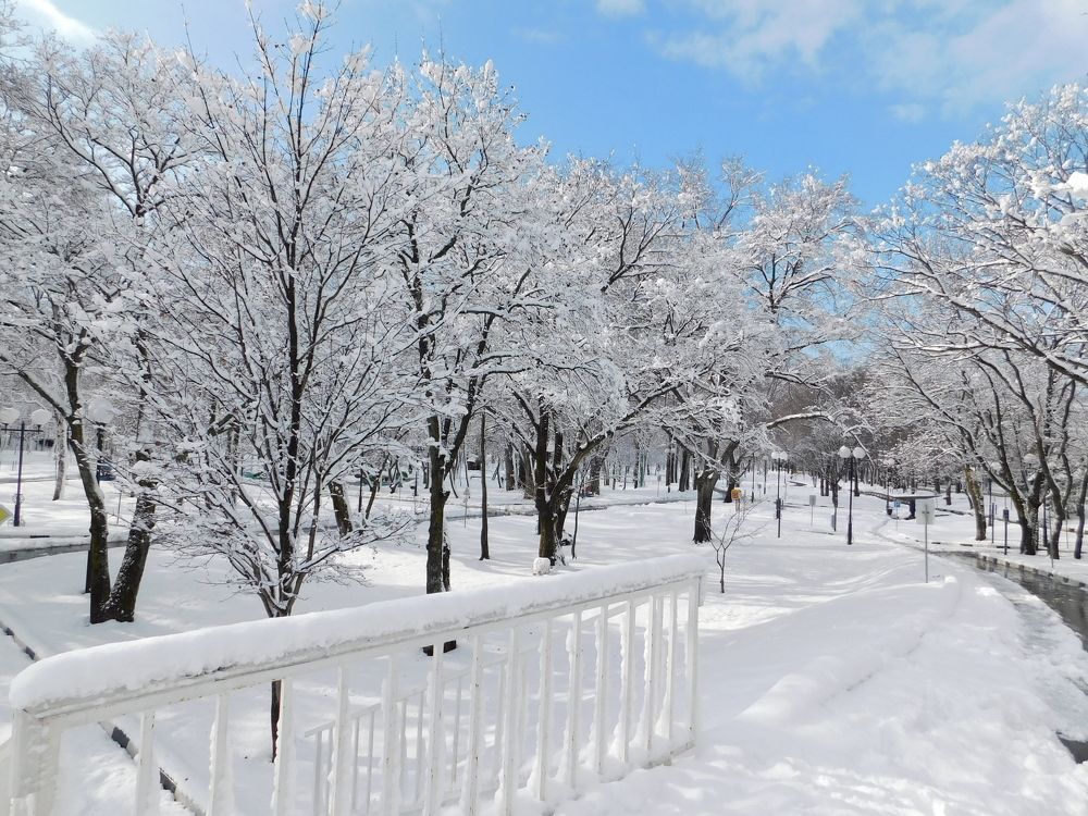 Photograph by Алексей Исаченко