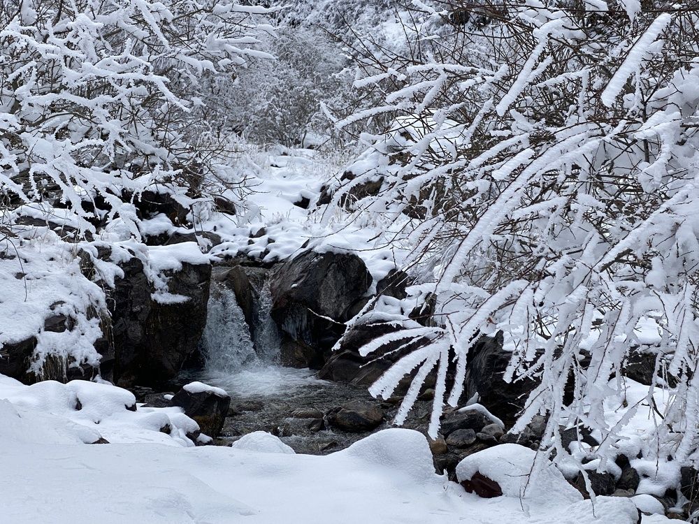 Photograph by Дмитрий Балеевских