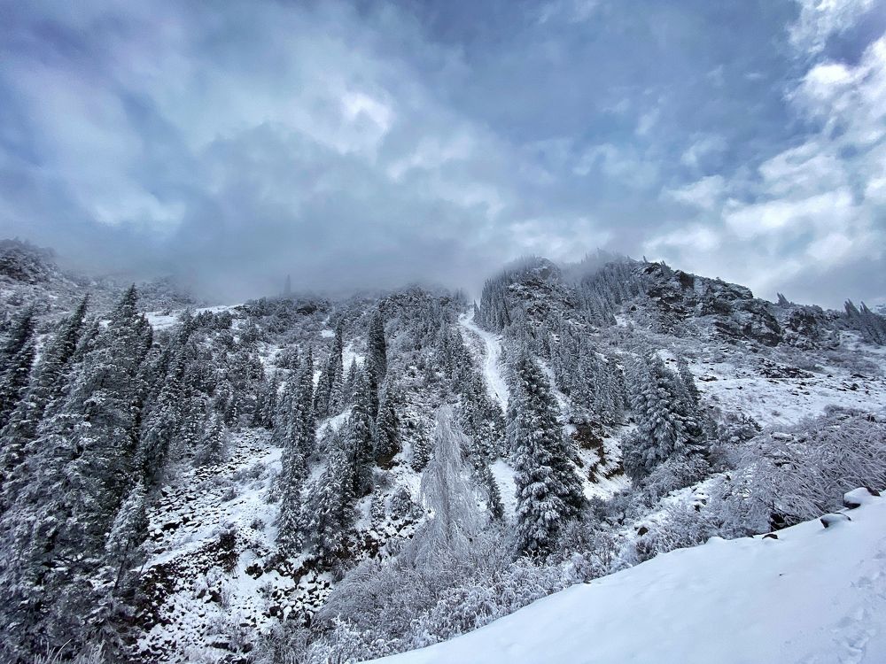 Photograph by Дмитрий Балеевских