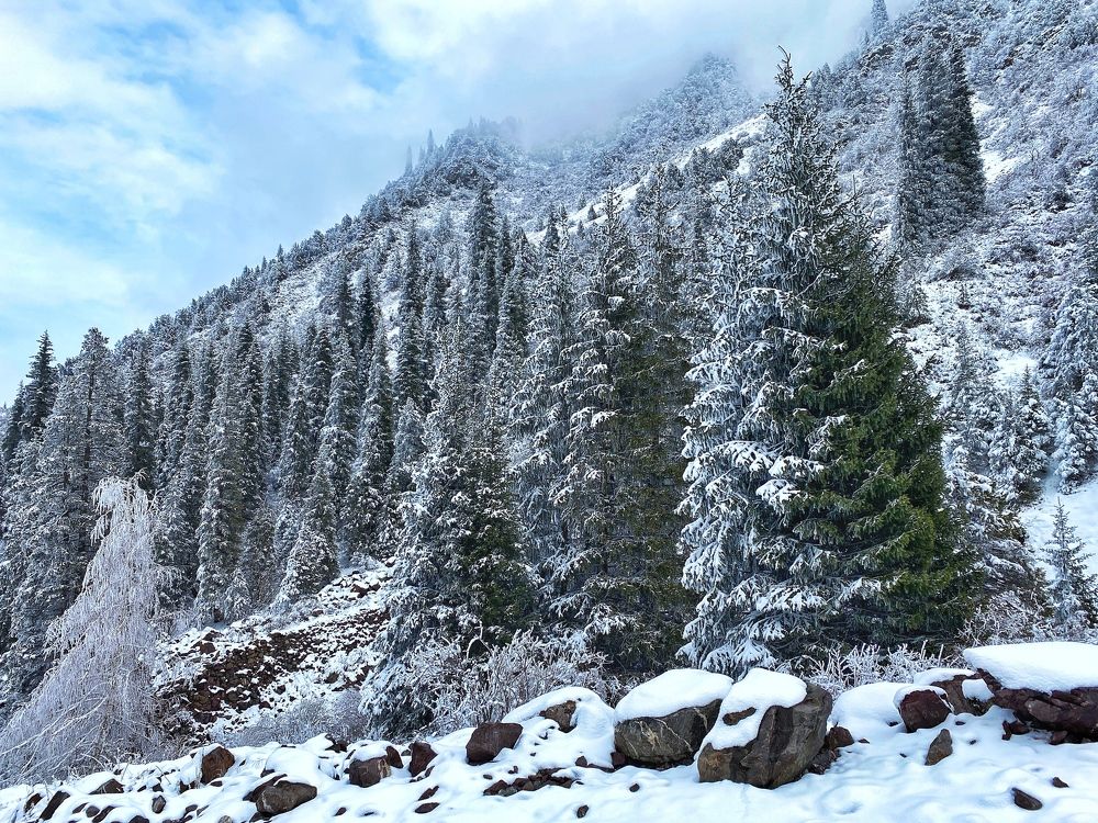 Photograph by Дмитрий Балеевских