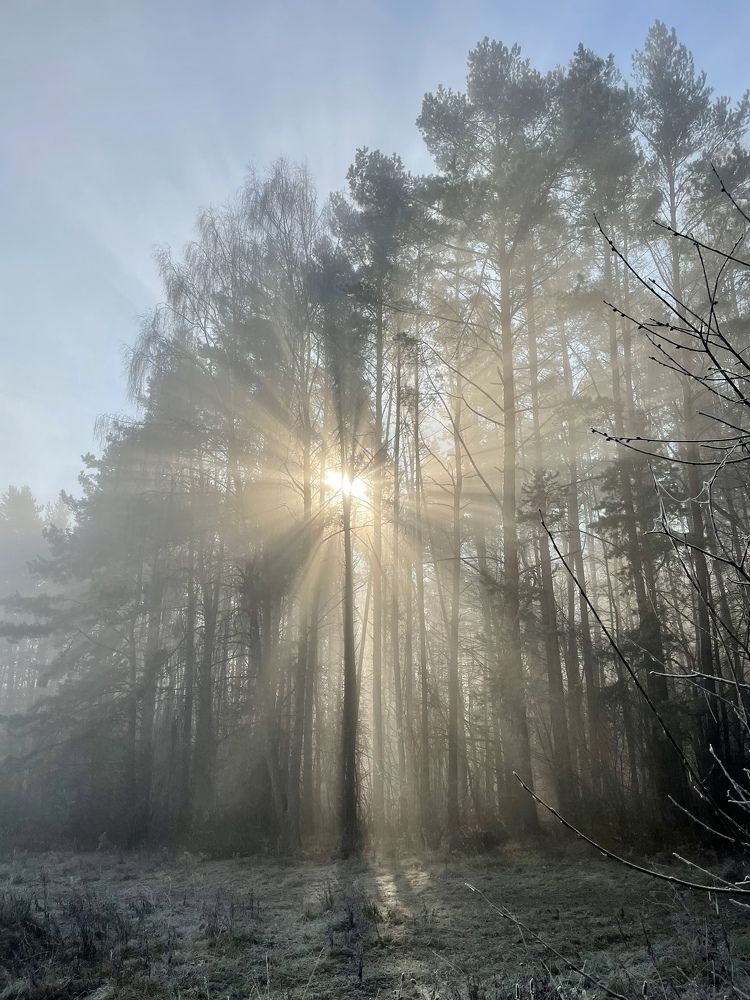 Photograph by Николай