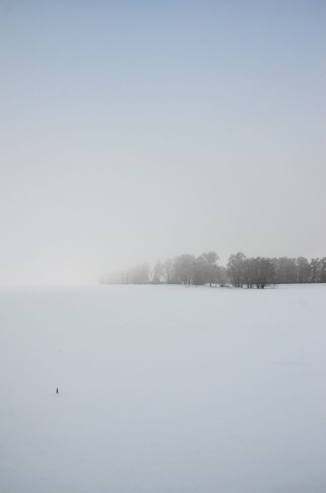 Photograph by Денчук Наталья