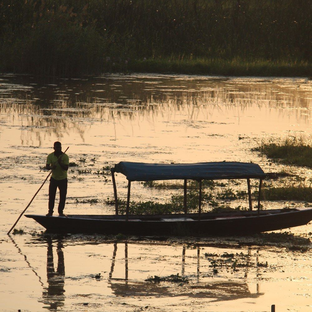 Фотография автора BIBEK chettri