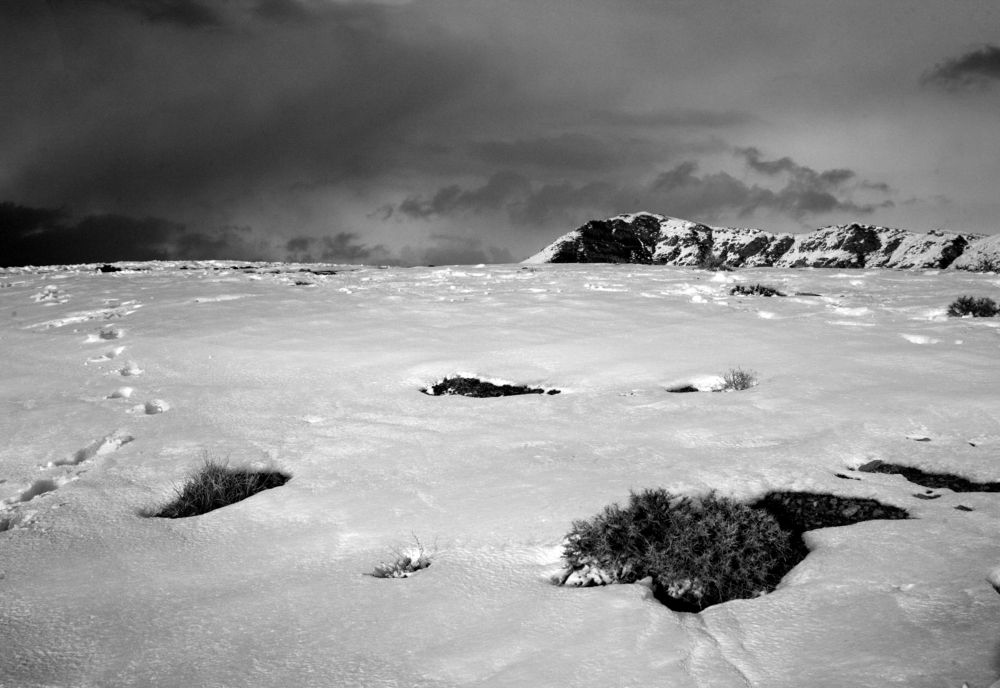 Фотография автора Mojtaba Chenari