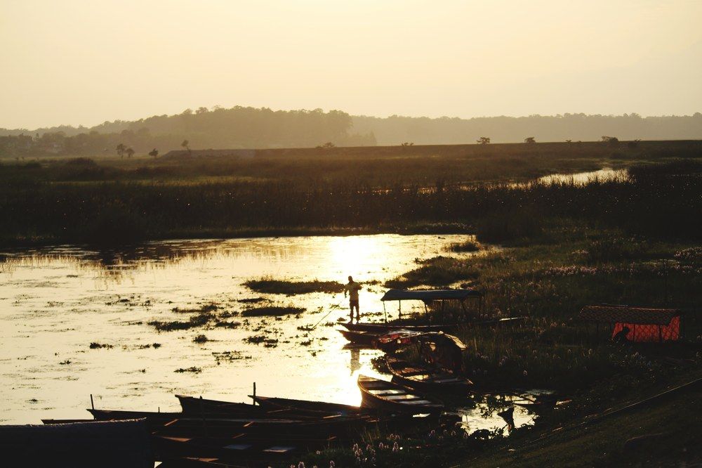 Фотография автора BIBEK chettri